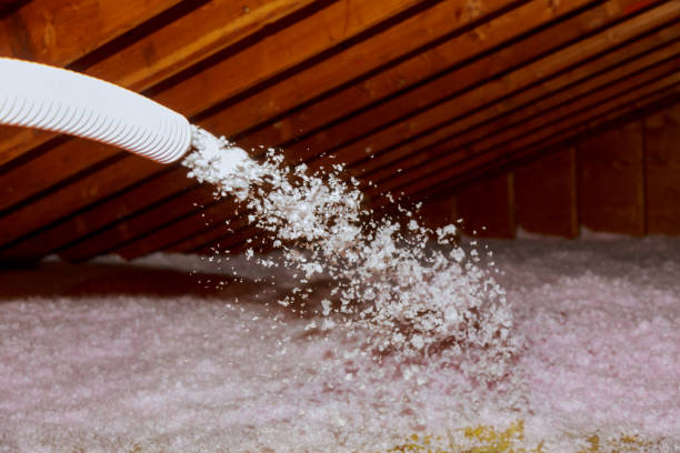 Best Home Insulation Services  in Douglas, MI