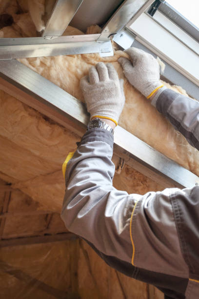 Best Soundproof Insulation Installation  in Douglas, MI