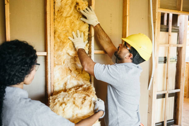 Best Affordable Insulation Services  in Douglas, MI