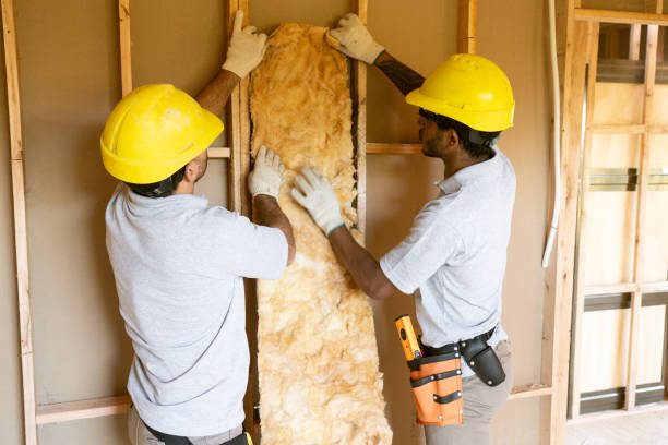 Insulation Contractors for Homes in Douglas, MI