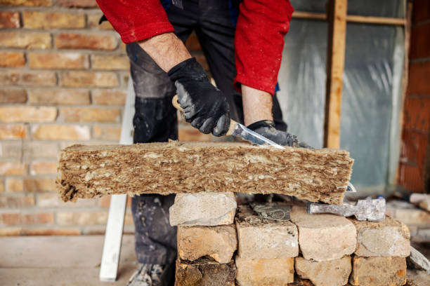 Best Residential Insulation Services  in Douglas, MI