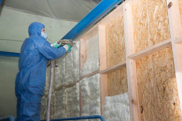 Best Insulation Inspection Services  in Douglas, MI